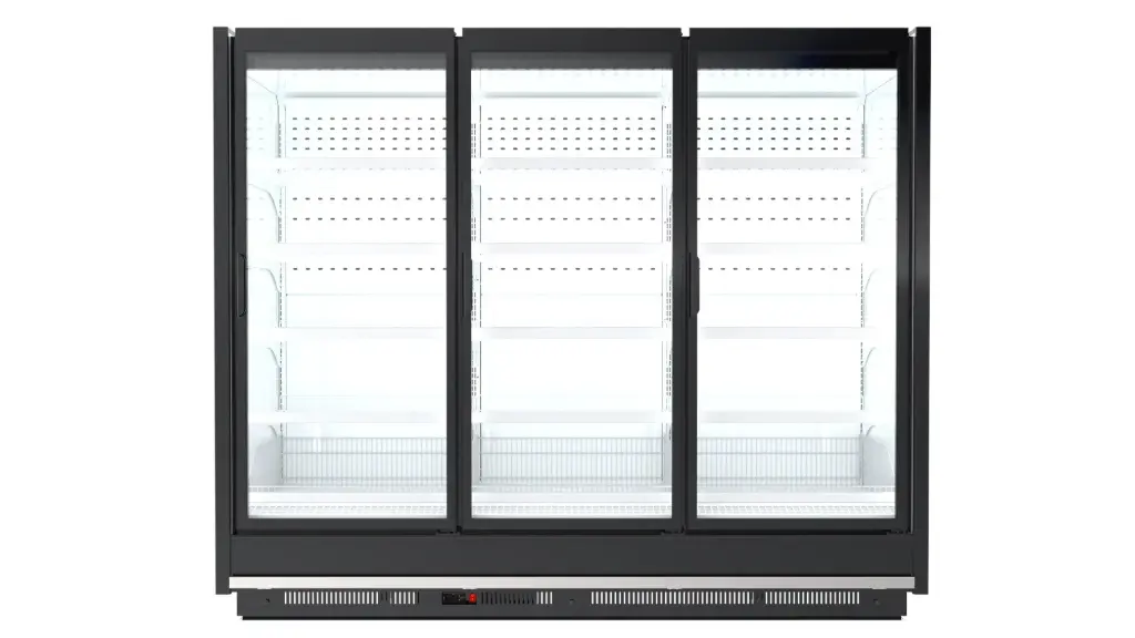 Hinged Doors Display -Freezer- / 24